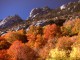Autumn Colors 3.0