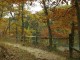 Autumn Screensaver 1