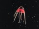 Awesome Aliens of the Deep Screen Saver 1.0 Awesome Aliens of the Deep Screen Saver 1.0