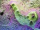 Awesome Geology from Space Screen Saver 1.0 Awesome Geology from Space Screen Saver 1.0