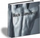 Back Isometrics 2.0