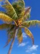 Bahamas Screen saver 1.0