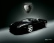 Best of Lamborghini Screensaver 2.00 Best of Lamborghini Screensaver 2.00