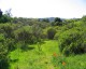 Best of Natural Landscapes Part 8 1.00