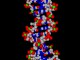 BioMolecula 3D ScreenSaver 1.1