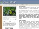 Bird Cages / Aviary Designer 2005 Bird Cages / Aviary Designer 2005