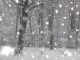 BLizzard Screensaver 1.0 BLizzard Screensaver 1.0