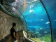 Breathtaking Pictures Screensaver 1
