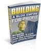Building a Blog Empire for Profit 1.0 Building a Blog Empire for Profit 1.0