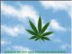 Cannabinatic Screensaver 1.50
