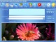 Capture Convert Burn Video 8.9.9.8976
