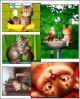 Cartoon Cats Screensaver 2 1.0