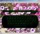 Catchysoft Typing Tutor 1.6