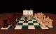 ChessSuccessSecrets 3.301