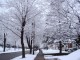 Chilling Cold Screensaver 1