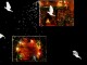Christmas Moments Screen Saver 2.0.1