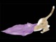 Classic Cats screensaver 1.4