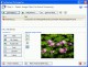 CoffeeCup PixConverter 4.0 CoffeeCup PixConverter 4.0