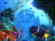 Coral Clock 3D Photo Screensaver 1.0