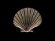 Crystal Art Screensaver 1.0 Crystal Art Screensaver 1.0