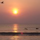 Dazzling Daytona Sun Screensaver 1.0