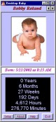 DeskTop Baby 1.2