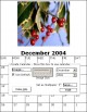 Desktop Calendar Maker 2.0 Screenshot