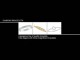 Diamond Jewelry Screensaver 1.0 Diamond Jewelry Screensaver 1.0