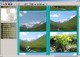 DigitalAlbums 1.6.5