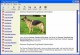 Dog Breed Encyclopedia 1.0 Dog Breed Encyclopedia 1.0