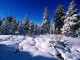 DPSM - Winter ScreenSaver 1.7 DPSM - Winter ScreenSaver 1.7
