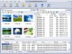 DriveHQ FileManager 1.1