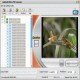 dvdXsoft DVD to PSP Convert 1.1.09