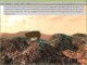 E76 game engine 2.3