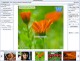 Easy Photo Watermark Maker 2.2