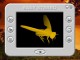 Easy Stereo 1.10 Easy Stereo 1.10