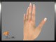 Engagement Rings Screensaver 1.00
