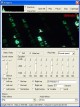 EWMedia play ActiveX 1.5