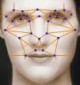 Face Recognition ActiveX DLL 1.1 Face Recognition ActiveX DLL 1.1