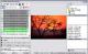 FastWebSlideShow 2.03