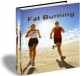 Fat Burning 1.0