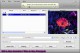 FC DVD AND VIDEO TO ZUNE CONVERTER 6.1.02131 FC DVD AND VIDEO TO ZUNE CONVERTER 6.1.02131