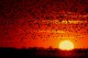 Flaming Horizon Screensaver 1.0 Flaming Horizon Screensaver 1.0