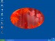 FlashPlayerBest.exe 1.26