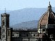 Florence Fresco Wallpaper 1.0