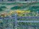 Flowers and Fields Screensaver 1.0