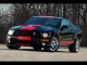 Ford Shelby Screensaver 2.00