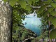 Forest World 3D Screensaver 1.0 Forest World 3D Screensaver 1.0