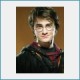 Free Harry Potter and the Goblet of Fire 1 Screens 1.0