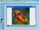 Free Image InDepth 1.2.0.1